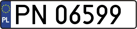 PN06599
