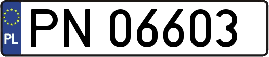 PN06603