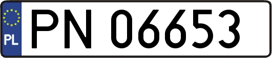 PN06653