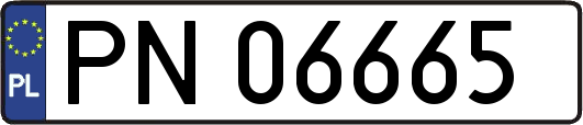 PN06665