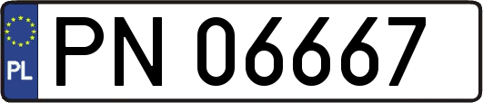 PN06667