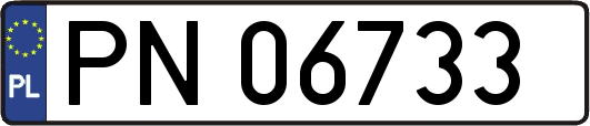PN06733