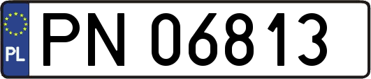 PN06813