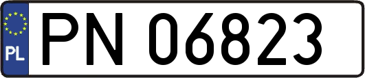 PN06823