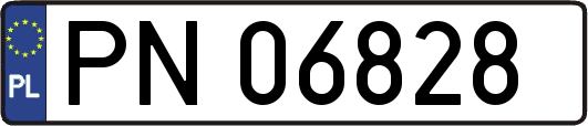 PN06828