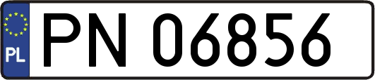PN06856