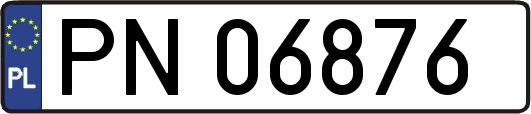 PN06876