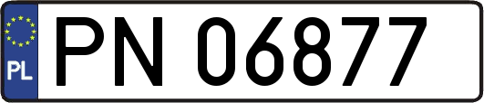 PN06877