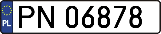 PN06878