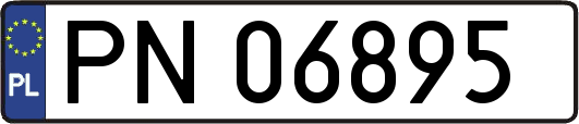 PN06895