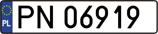 PN06919