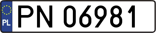 PN06981