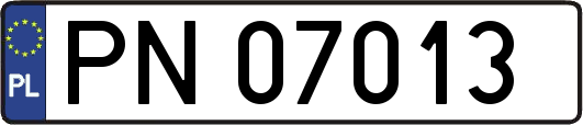 PN07013