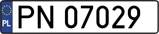 PN07029