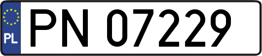 PN07229