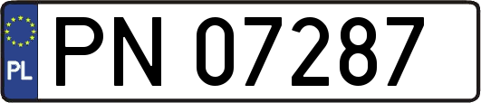 PN07287