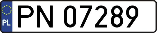 PN07289