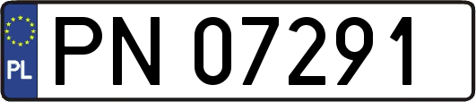 PN07291