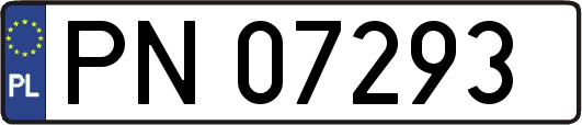 PN07293