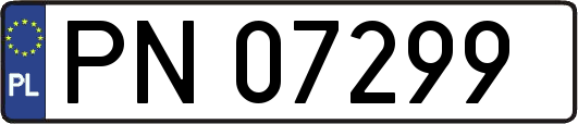 PN07299