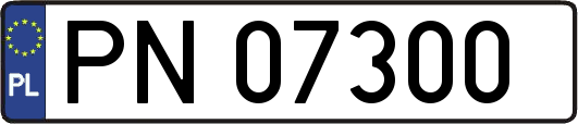 PN07300