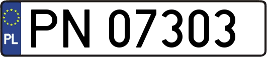 PN07303