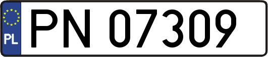 PN07309
