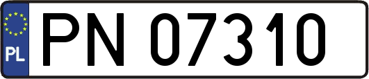 PN07310