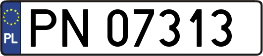 PN07313
