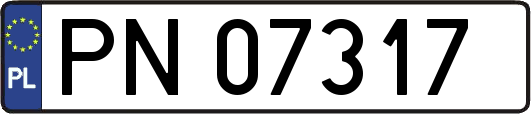 PN07317