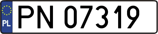 PN07319