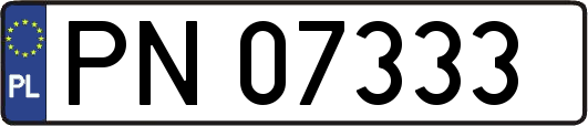 PN07333