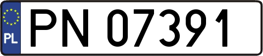 PN07391