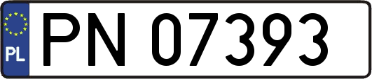PN07393