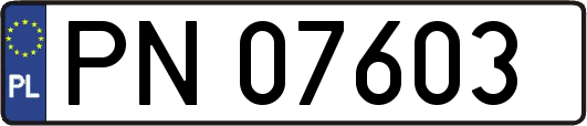 PN07603