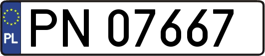 PN07667