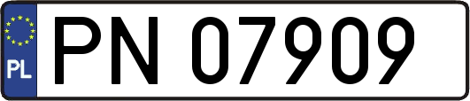 PN07909
