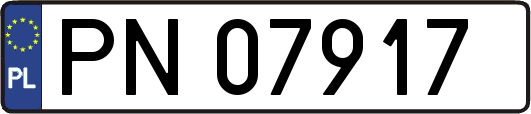 PN07917
