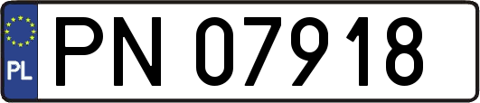 PN07918