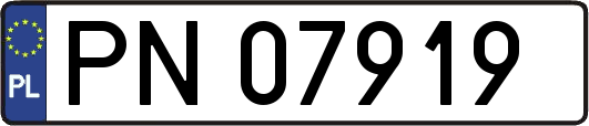 PN07919