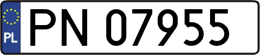 PN07955