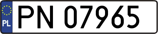 PN07965