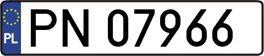 PN07966