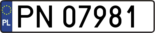 PN07981