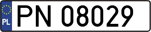 PN08029