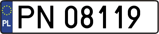 PN08119