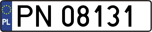 PN08131