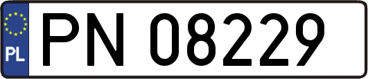 PN08229