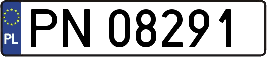 PN08291