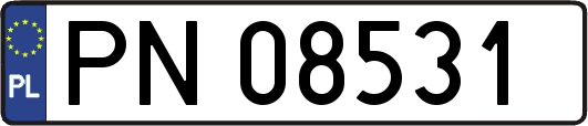 PN08531